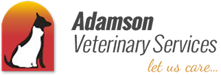 A logo with a silhouette of a sitting dog against a red-orange gradient background on the left. To the right of the silhouette is the text "Dogs Trust" in gray and "A dog is for life" in orange, reflecting their commitment to lifelong care, much like your trusted veterinarian.
