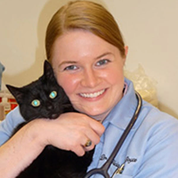 Veterinary team member holding a black cat