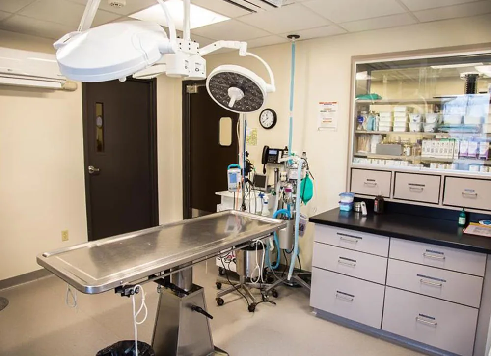 A clean, modern medical examination room with a stainless steel table, overhead surgical lights, medical equipment, cabinets, and a window showing shelves with supplies in an adjacent room.