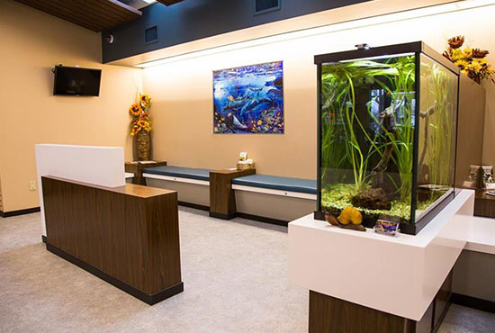 A clean, modern waiting room with wood and white furniture, a large fish tank, bench seating along the wall, a colorful ocean-themed painting, a TV, and decorative plants.